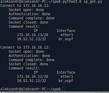 Результат выполнения программы ip_get.py Python