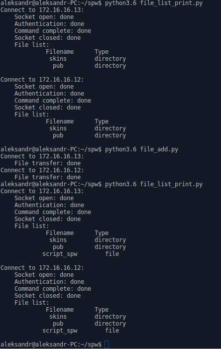 Результат выполнения программы file_add.py MikroTik