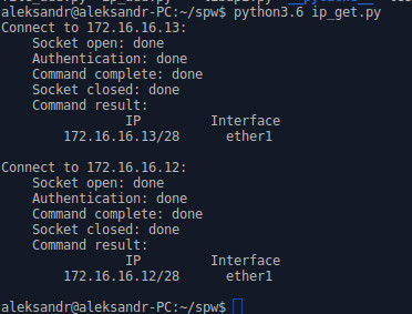 Результат выполнения программы ip_get.py Automation